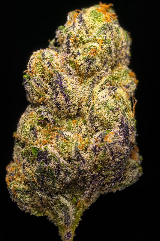 Mochi Ice Cream Hybrid Light Assist Flower