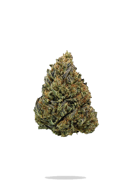 Block Image