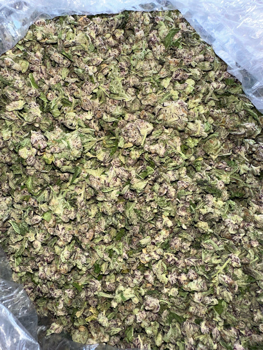 Frosty Punch Indica Micros Flower